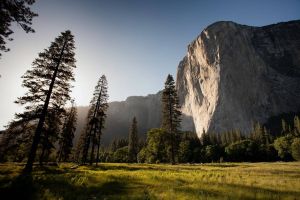 adam-kool-ndN00KmbJ1c-unsplash_copy_4