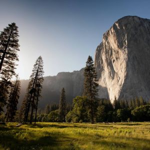adam-kool-ndN00KmbJ1c-unsplash_copy_2