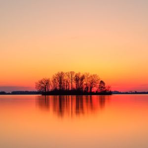 dave-lsoogGC_5dg-unsplash_copy_2
