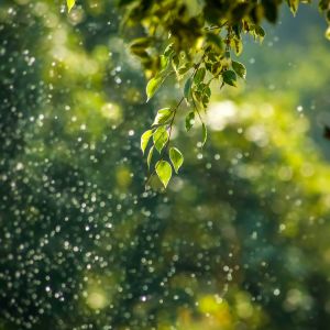 goutham-krishna-h5wvMCdOV3w-unsplash_copy_3