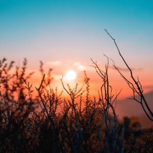 oc-gonzalez-xg8z_KhSorQ-unsplash_copy_2